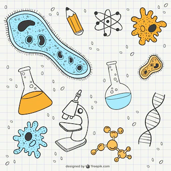 biology代写生物帮你脱离苦海!生物学格式要求通通拿下插图